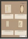 Pleurosigma obscurum W.Sm. (de-Toni-Nr.: Genus 13, Species 1043) Zeichnungen Sammlung Grunow Nr. 2106 (NHMW-BOT-W0368985)
